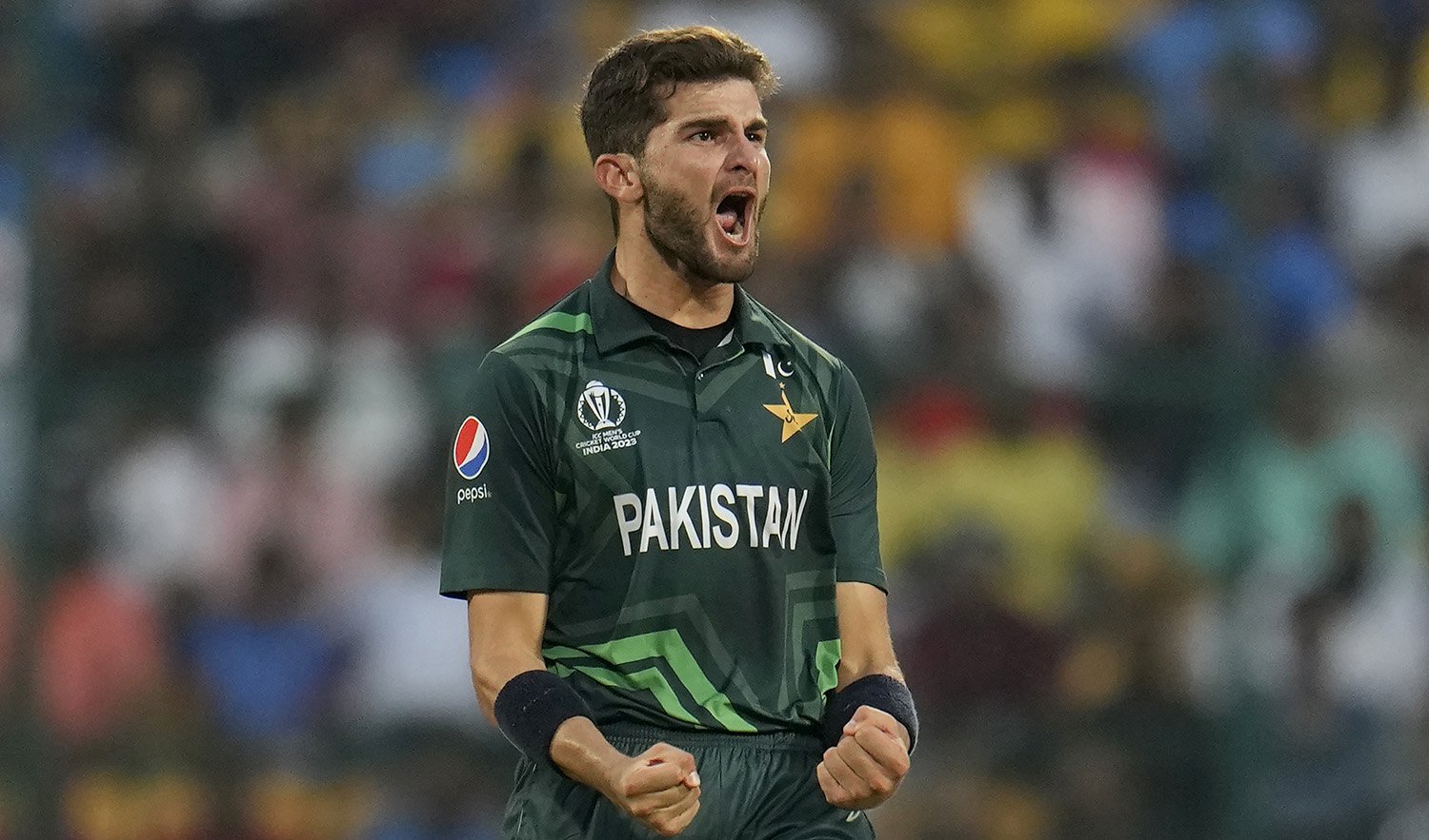 Pakistan's Shaheen Afridi celebrates his five-wicket haul after dismissing Australia's Josh Hazlewood during the ICC Men's Cricket World Cup match between Australia and Pakistan in Bengaluru, India, on October 20, 2023. (AP)