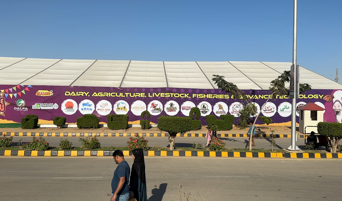 Pedestrians walk past the Dairy Agriculture, Livestock Fisheries and Advance Technology (DALFA) cattle show in Karachi, Pakistan on February 22, 2024. (AN Photo)