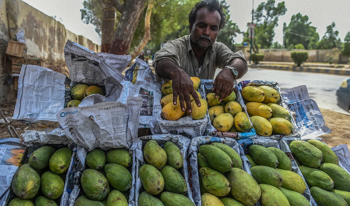 In this picture taken on June 15, 2022, a street vendor waits for customers while selling mangos in Mirpur Khas city in Pakistan's southern Sindh province. (AFP/File)