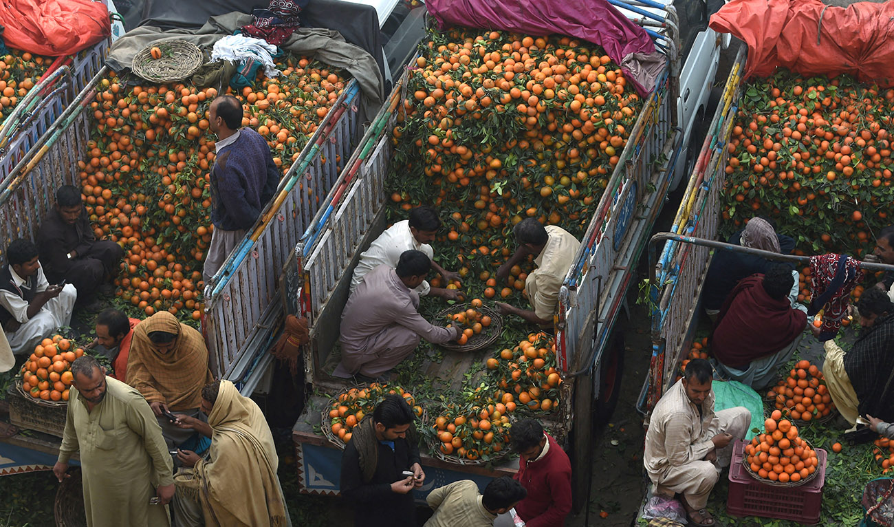 Pakistani traders sell oranges on their trucks at a fruit market in Lahore on December 4, 2016. (AFP/File)