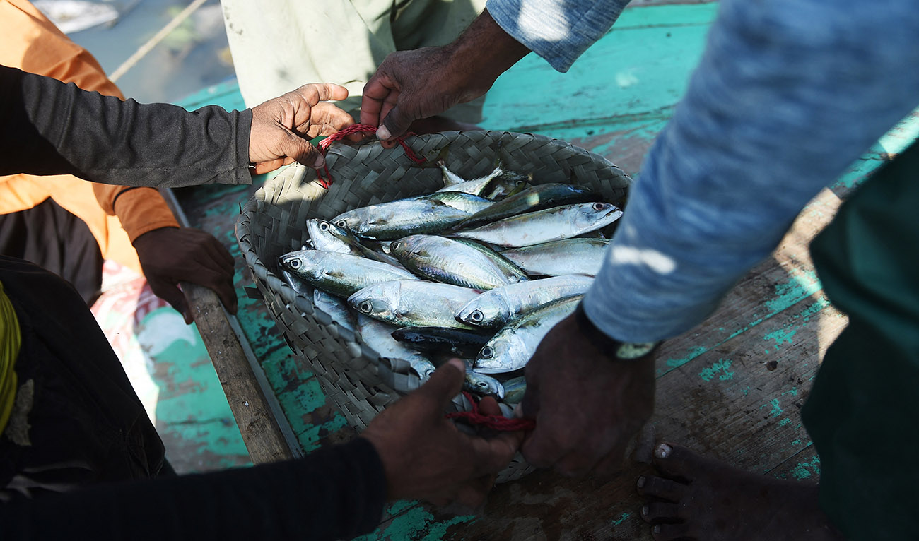 In this picture taken on December 28, 2022, fishermen unload their catch upon returning from fishing on the Arabian sea, at a port in Karachi, Pakistan. (AFP/File)