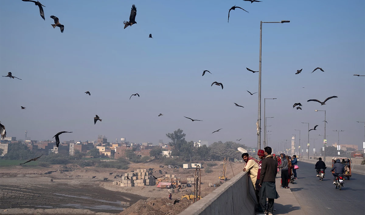 Kite birds fly as they are fed with meat, as a form of charity to bring good luck and ward off adversity, along Ravi Bridge in Lahore, Pakistan, on December 19, 2023. (REUTERS)
