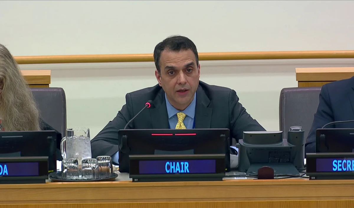 Newly elected chair of UN Disarmament Commission, Usman Jadoon, is addressing a session in New York, US, on April 1, 2024. (@PakistanUN_NY/X)