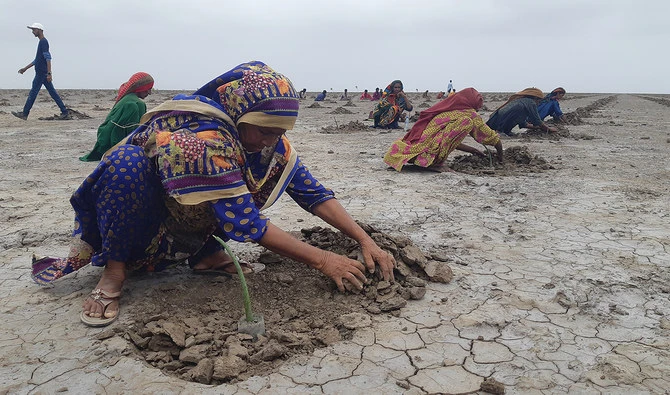 Woman gardener plants mangroves in Village Haji Doongar Jatt in Pakistan's southern Sujawal District on August 14, 2023. (AN Photo/File)