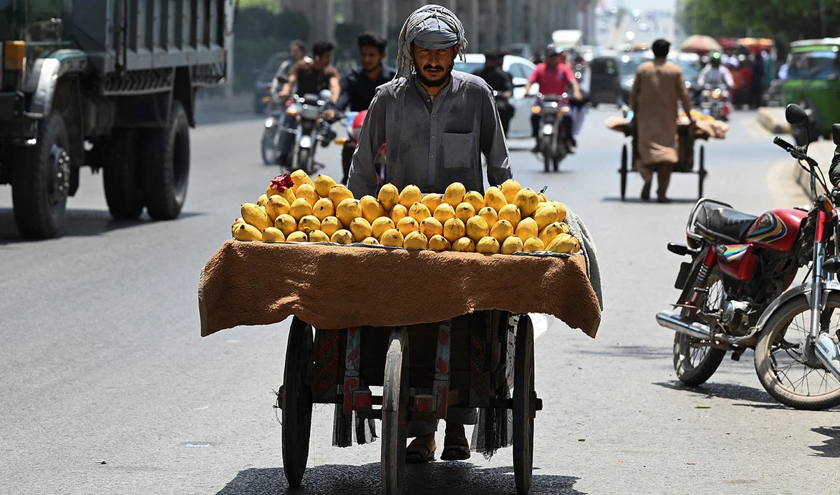 A vendor selling mangoes pushes a handcart while looking for customers along a road in Rawalpindi on June 9, 2023. (AFP/File)