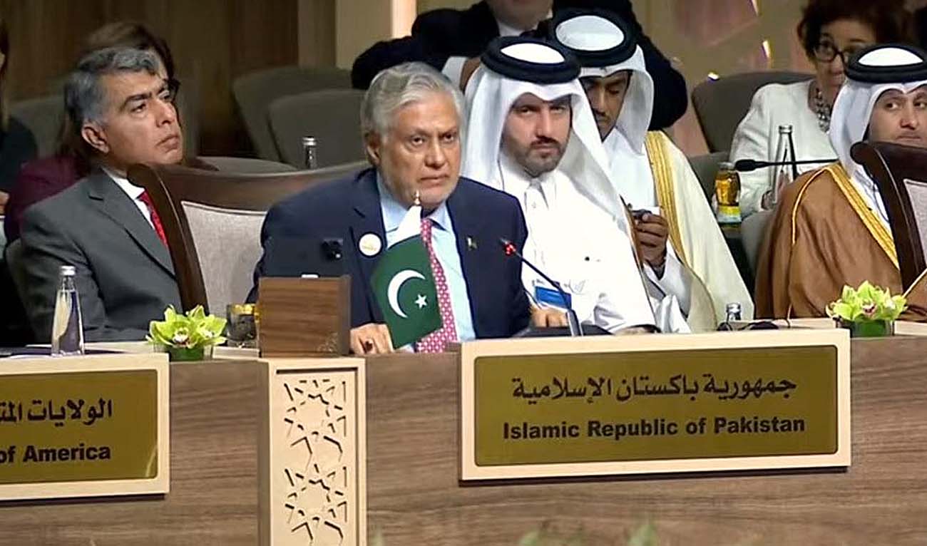 Pakistan’s Deputy Prime Minister Ishaq Dar attends a plenary session during the "Call for Action: Urgent Humanitarian Response for Gaza" conference, at the Dead Sea in Jordan on June 11, 2024. (Photo courtesy: @ForeignOfficePk/X)