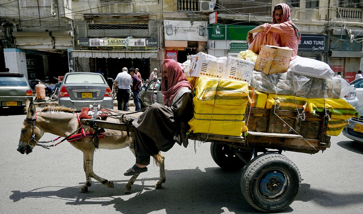 Labourers transport dry fruits on a donkey-cart along a street in Karachi on June 12, 2024. (AFP/File)