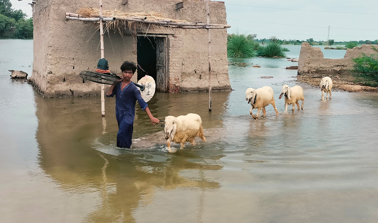 A villager carries a fan on his shoulders as he wades through flooded waters after heavy rainfalls at Sohbatpur in Jaffarabad district of Balochistan province on August 5, 2024. (AFP/File)