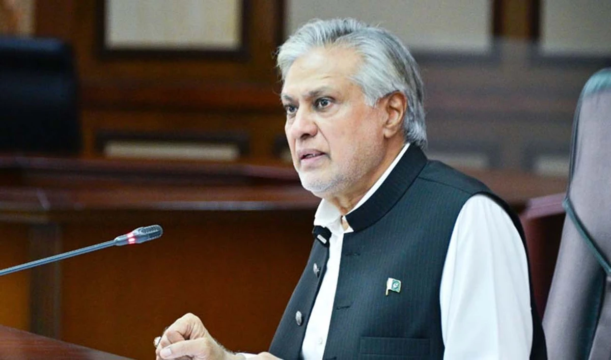 The undated file photo shows Pakistan Deputy Prime Minister Ishaq Dar chairing the Cabinet Committee on Privatization. (Photo courtesy: APP)