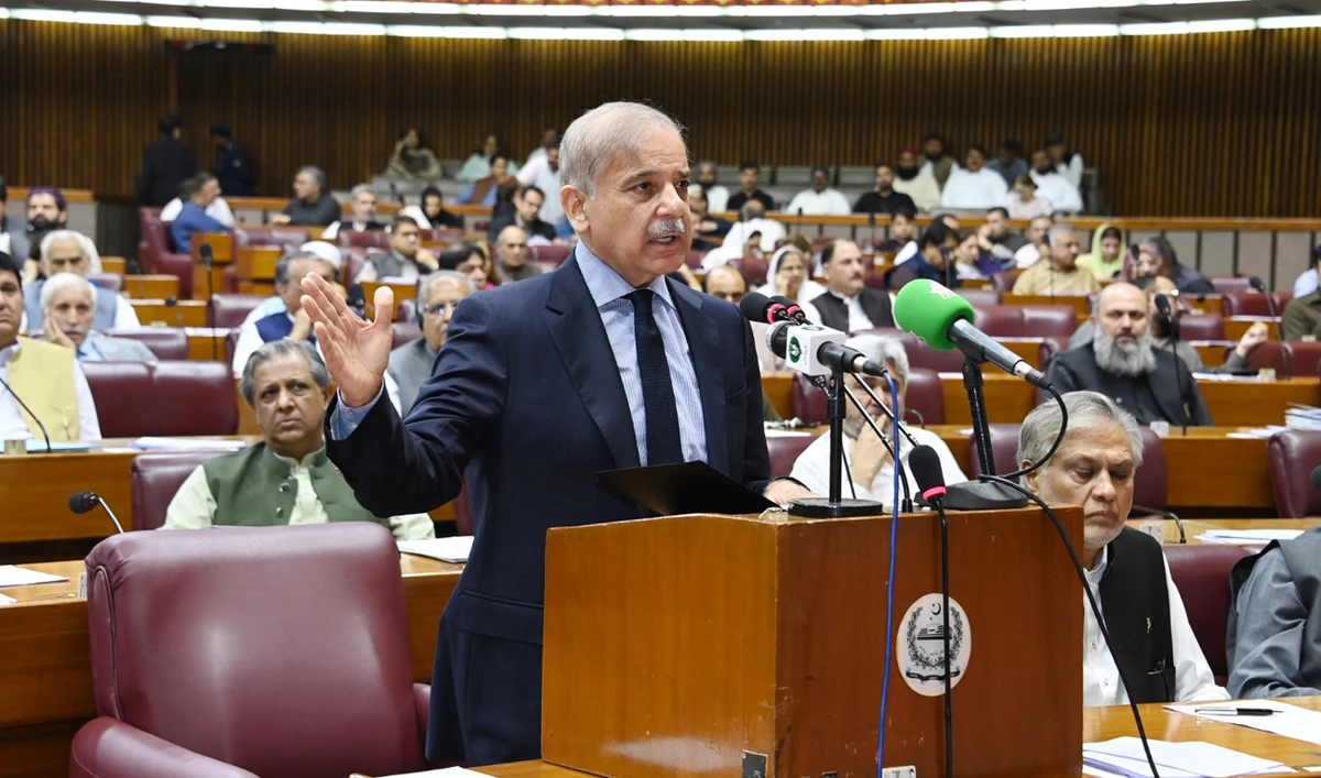 In this handout photograph, taken and released by Pakistan’s Press Information Department, Pakistan Prime Minister Shehbaz Sharif speaks during a parliament session in Islamabad on August 2, 2024. (PID/File)