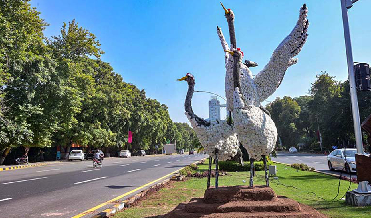 Commuters past a newly installed birds’ replica at Constitution Avenue in Islamabad on October 10, 2024, ahead of the Shanghai Cooperation Organization (SCO) Summit next week. (APP)