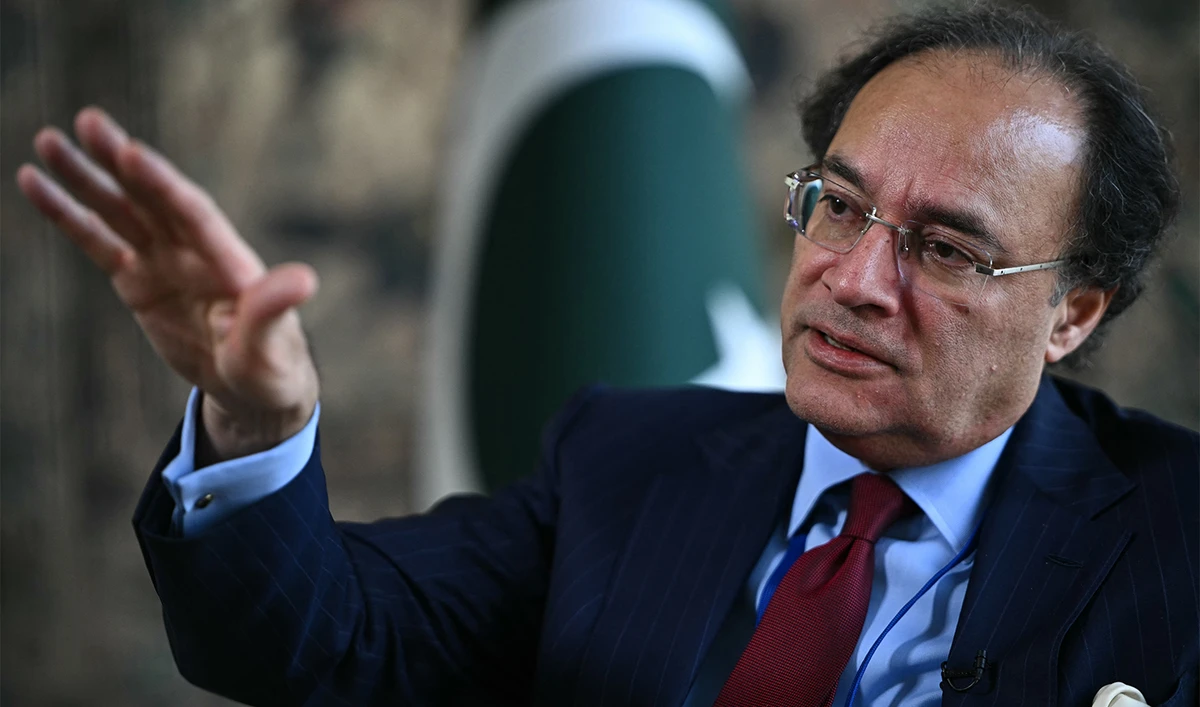Pakistan's Finance Minister Muhammad Aurangzeb speaks during an interview with AFP at the Embassy of Pakistan in Washington, DC on April 15, 2024. (AFP/File)