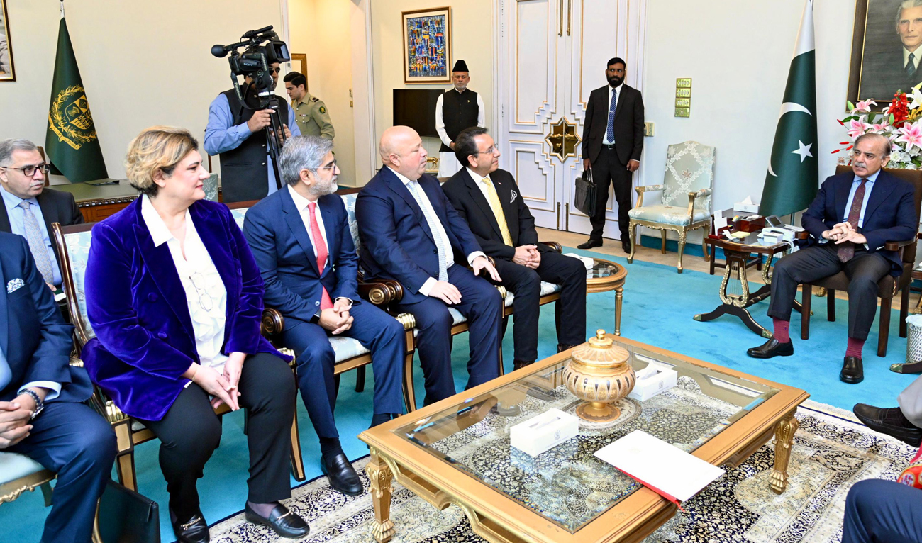 Prime Minister Shehbaz Sharif speaks during a meeting with delegation of VEON Group in Islamabad on November 8, 2024. (Photo courtesy: PMO)