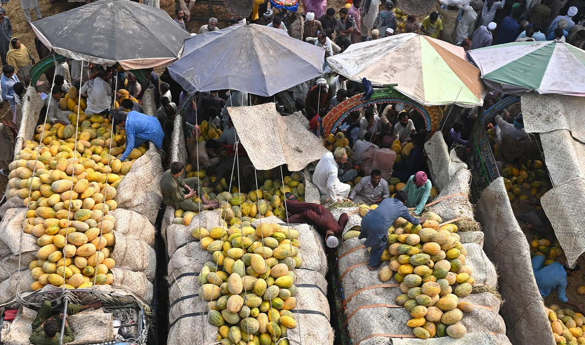 Traders and customers crowd at a wholesale fruit market in Lahore on September 26, 2024. (AFP/File)