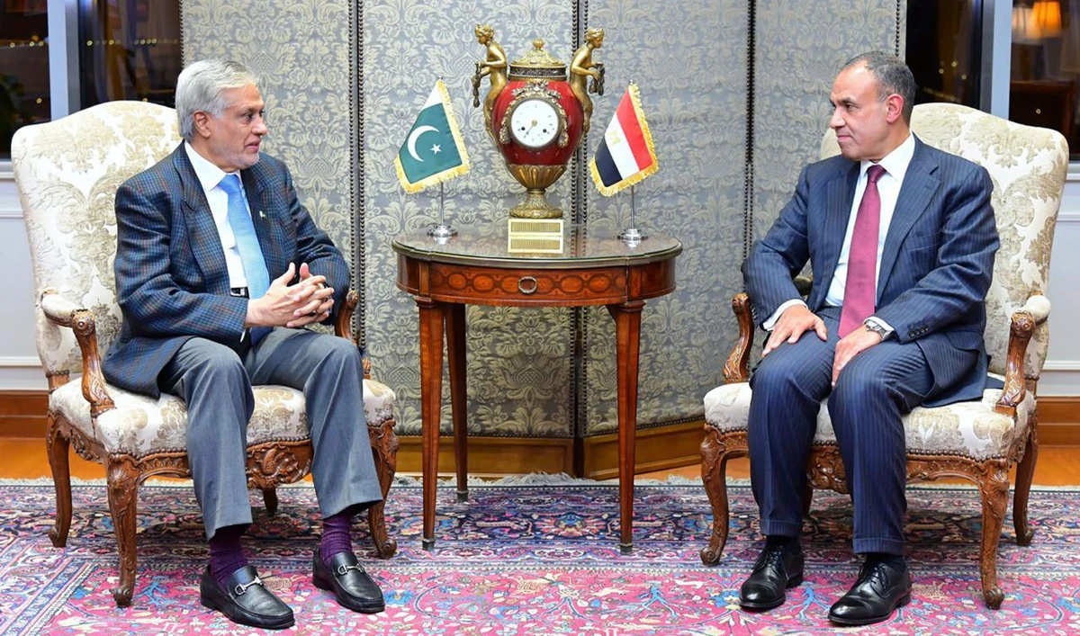 Pakistan’s Deputy Prime Minister and Foreign Minister, Ishaq Dar, meets Egypt’s Foreign Affairs Minister, Badr Abdelatty, on the sidelines of the D-8 ministerial meeting being held in Cairo, Egypt, on December 17, 2024. (PID)