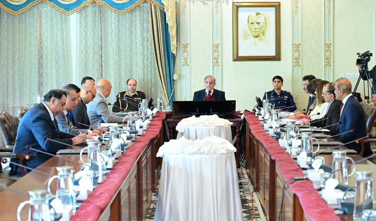 Pakistam Prime Minister Shehbaz Sharif (center) chairs a meeting in Islamabad, Pakistan, on January 20, 2025. (PID)