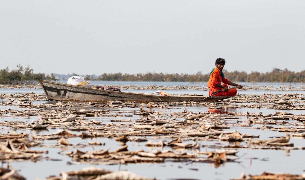 This handout photo, released by the World Wildlife Fund-Pakistan on February 1, 2025, shows Chotiari Wetlands Complex in Sindh province. (Handout/WWF-Pakistan)