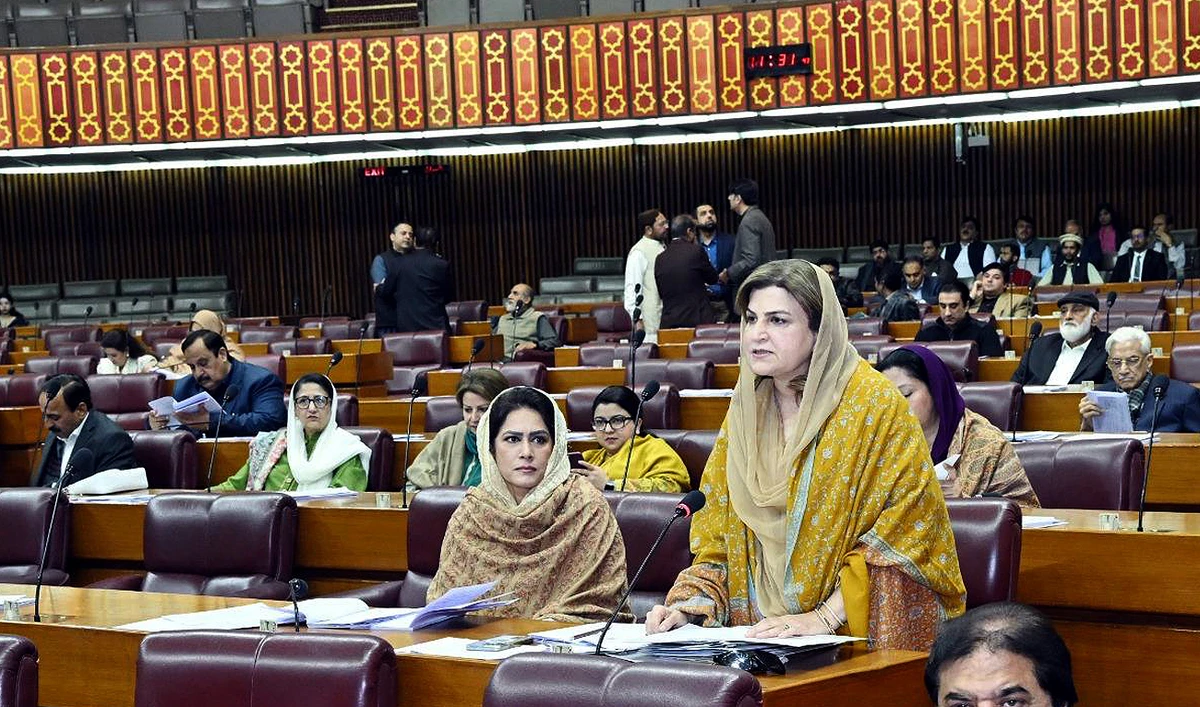 Pakistan Parliamentary Secretary for Federal Education and Professional Training Farah Naz Akbar speaks during a National Assembly session in Islamabad on February 14, 2025. (Photo courtesy: Facebook/NationalAssemblyOfPakistan)