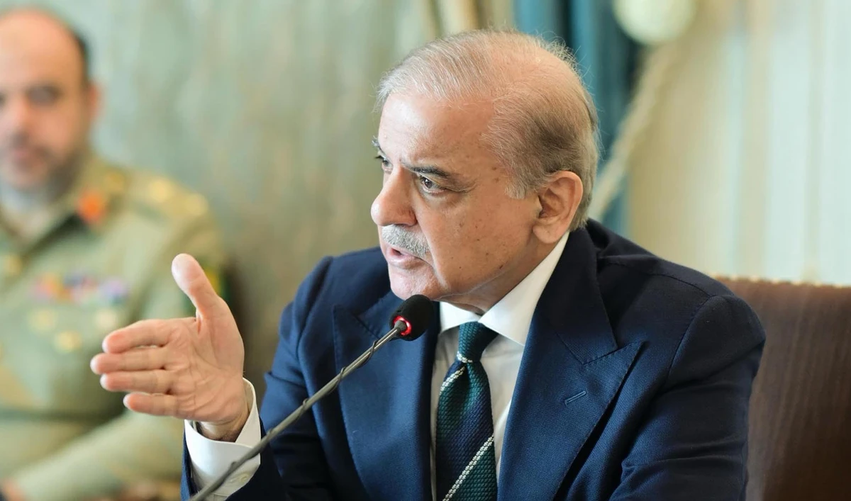 Pakistan Prime Minister Shehbaz Sharif speaks during a meeting in Islamabad on March 7, 2025. (PID/File)