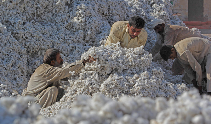 Pakistani workers process freshly picked cotton at a factory at Khanewal in the central province of Punjab, Pakistan, on February 24, 2016. (AFP/File)