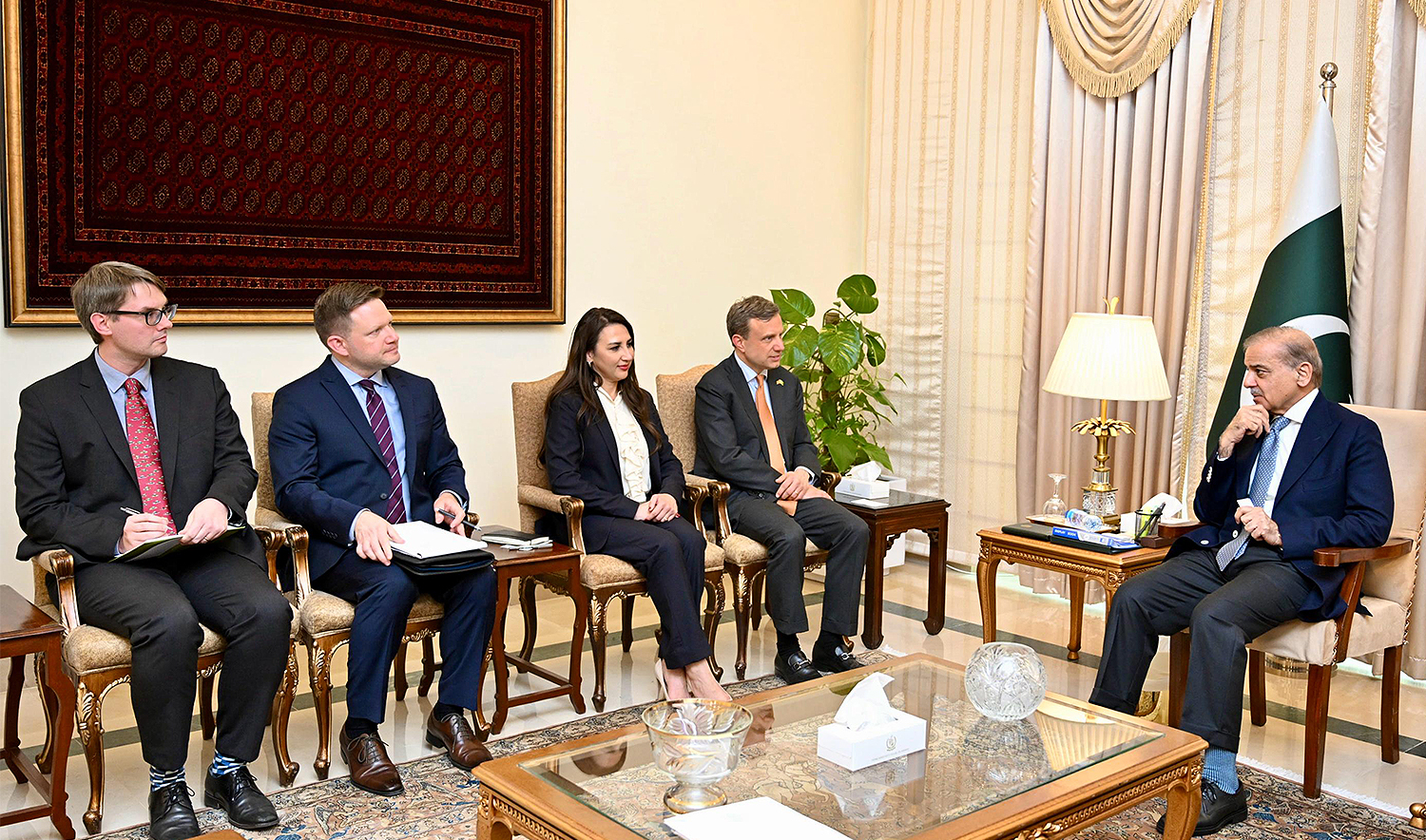 Members of a US delegation call on Pakistan Prime Minister Shehbaz Sharif in Islamabad on April 9, 2025. (PID)