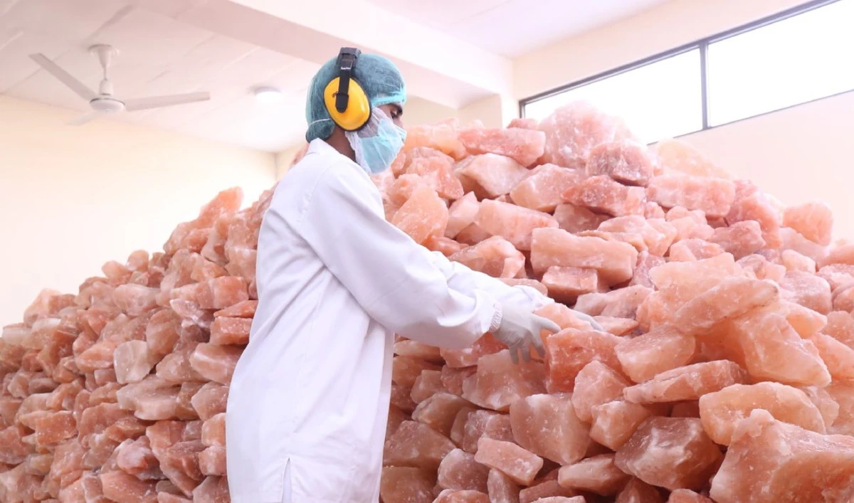 In this undated photo an employee checks stocks at Anthela Foods' Himalayan salt plant in Lahore, Pakistan. (Photo courtesy:China Daily/ website)