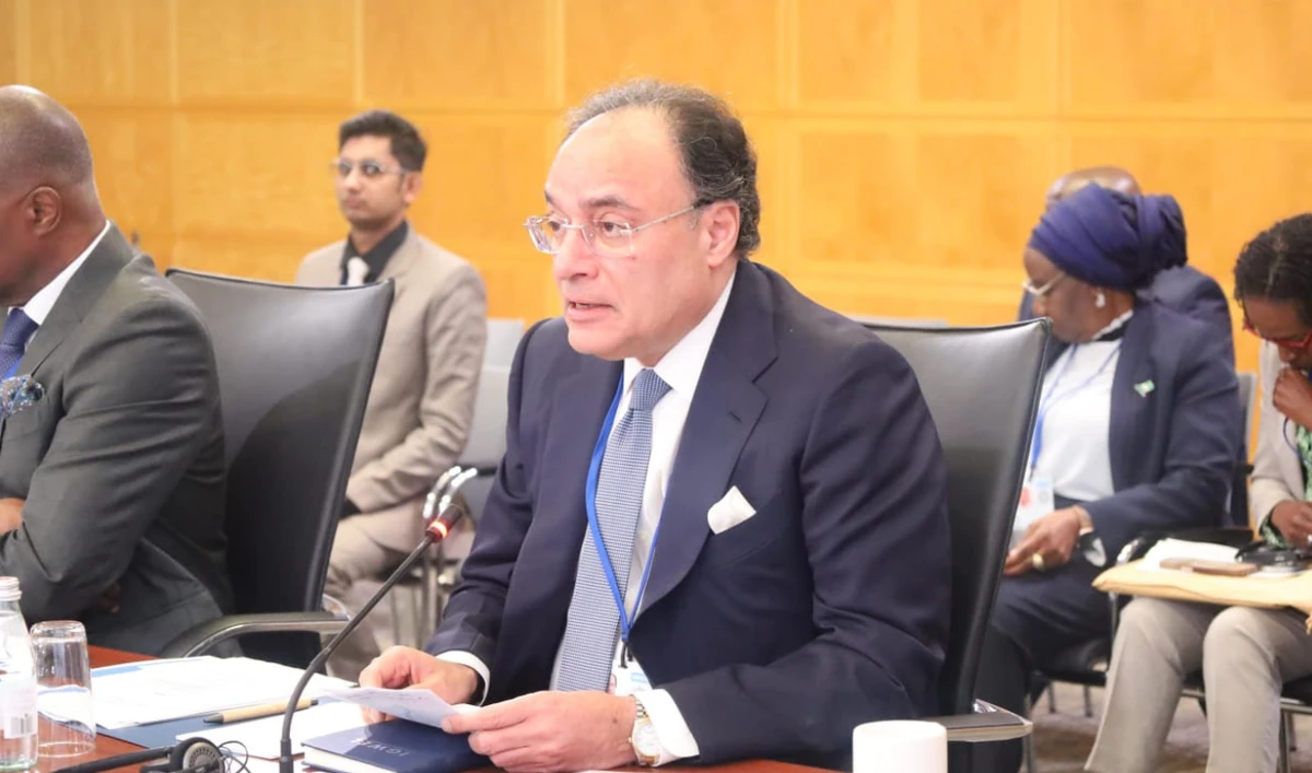 Pakistan’s Finance Minister Muhammad Aurangzeb speaks at the G-24 finance ministers’ moot in Washington on April 22, 2025. (GOP)