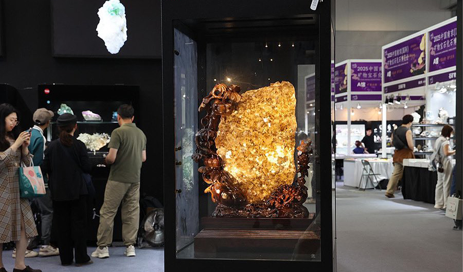 People attend International Mineral, Gemstone & Fossil Expo in Nanjing, China, on May 18, 2025. (YouthinJiangsu/X)