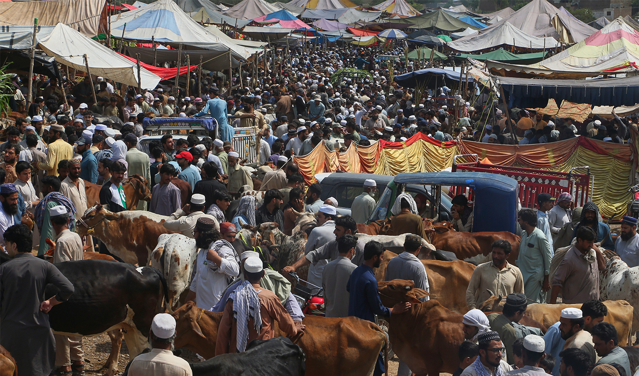 People negotiate with vendors to buy livestock at a cattle market set up for the upcoming Muslim Eid Al-Adha festival, in Peshawar, Pakistan, on May 30, 2025. (AP)
