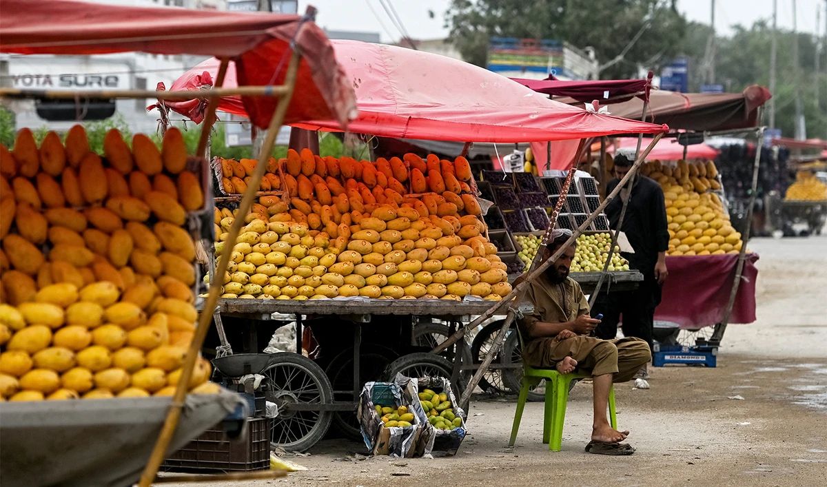 Fruit vendors wait for customers along a street in Karachi on June 18, 2025. (AFP/File)
