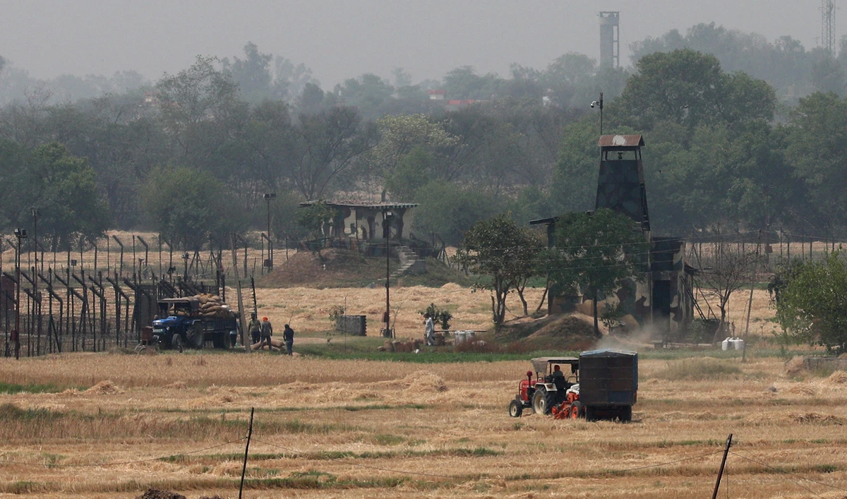 Farmers work in a paddy field near the fenced border between India and Pakistan in Suchetgarh, Jammu and Kashmir on April 30, 2025. (REUTERS/File)