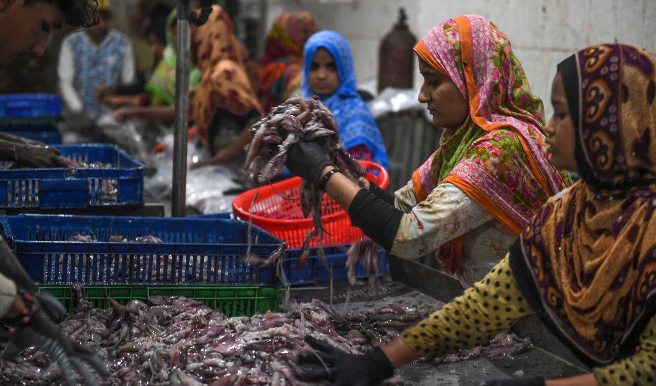 Workers prepare to pack whole squids for exports at a fish factory at a fishery port in Karachi on November 22, 2019. (AFP/ file)
