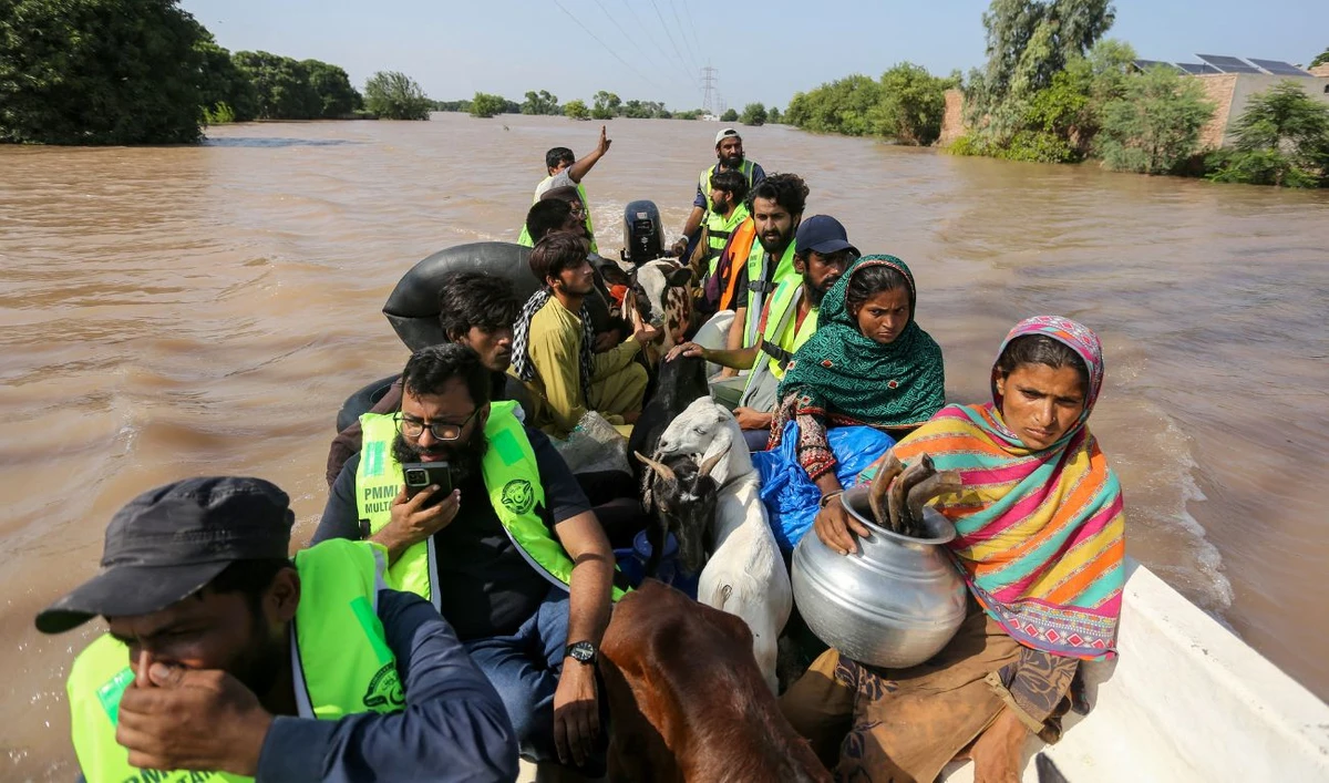 Volunteers rescue flood-affected victims along with their livestock using a boat following heavy rains and overflowing of the Sutlej river, on the outskirts of Multan in Punjab province on September 4, 2025. (AFP)