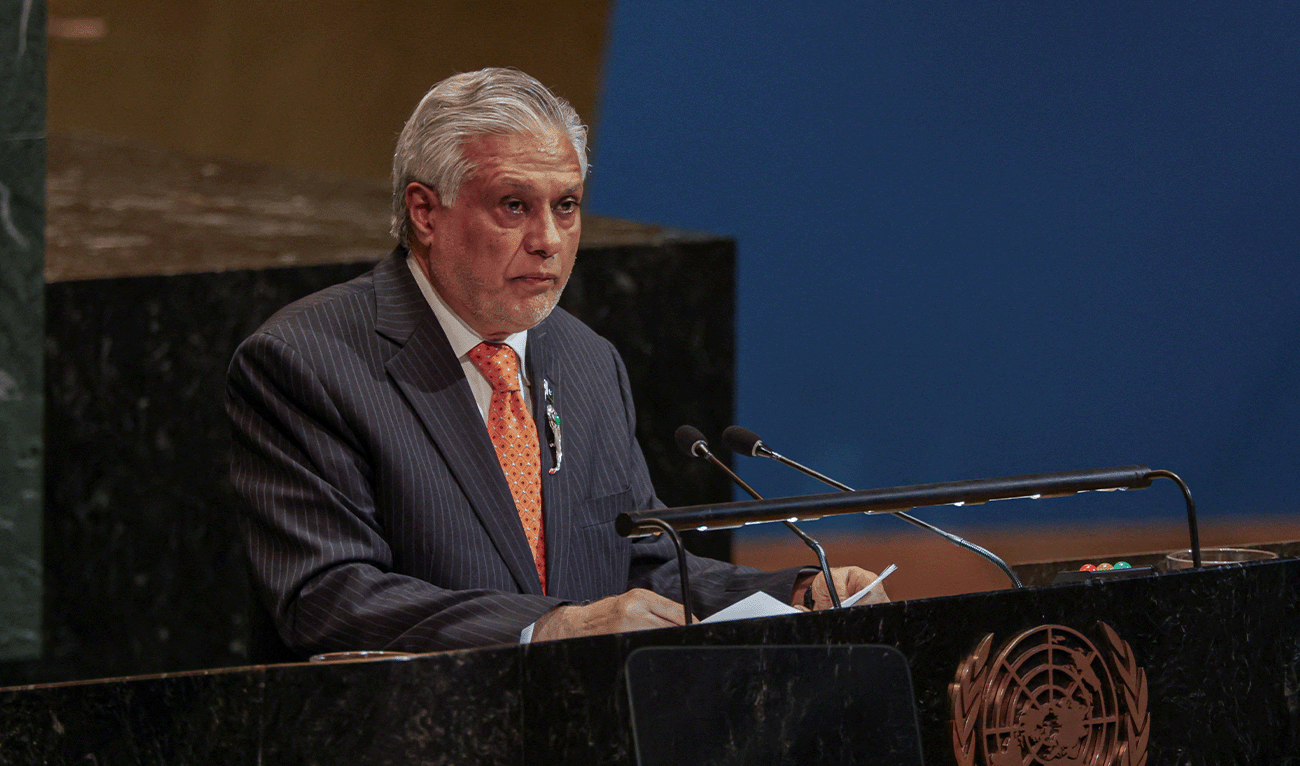 Ishaq Dar, Deputy Prime Minister and Minister for Foreign Affairs of Pakistan, speaks during a High-level International Conference for the Peaceful Settlement of the Question of Palestine and the Implementation of the Two-State Solution at UN headquarters in New York City, US, July 28, 2025. (Reuters/File)
