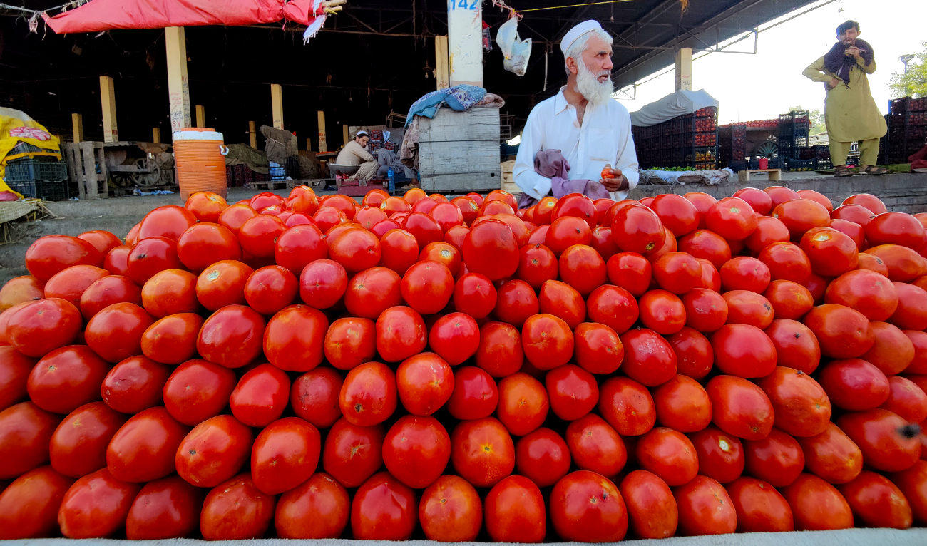 A man is selling tomatoes on a cart in Islamabad, Pakistan, on October 22, 2025. (AN photo)