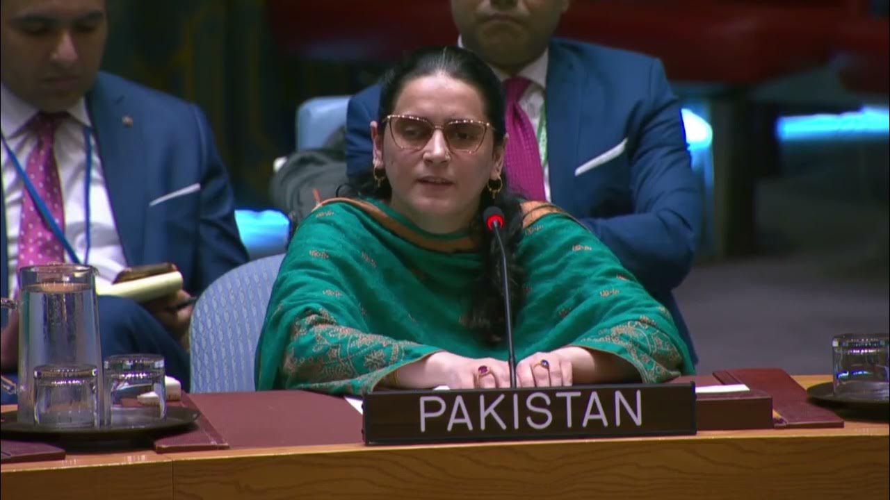 Pakistan’s UN mission counsellor, Saima Saleem, is addressing a session in New York, US, on May 23, 2025. (Pakistan at UN/File)