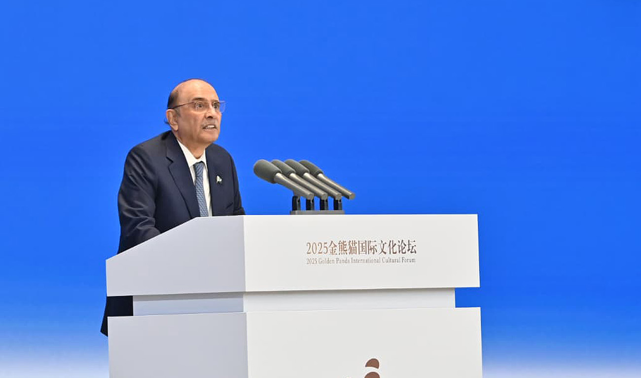 In this file photo, taken on September 13, 2025, Pakistan President Asif Ali Zardari speaks during the Golden Panda International Cultural Forum in Chengdu, China. (Handout/Presidency/File)