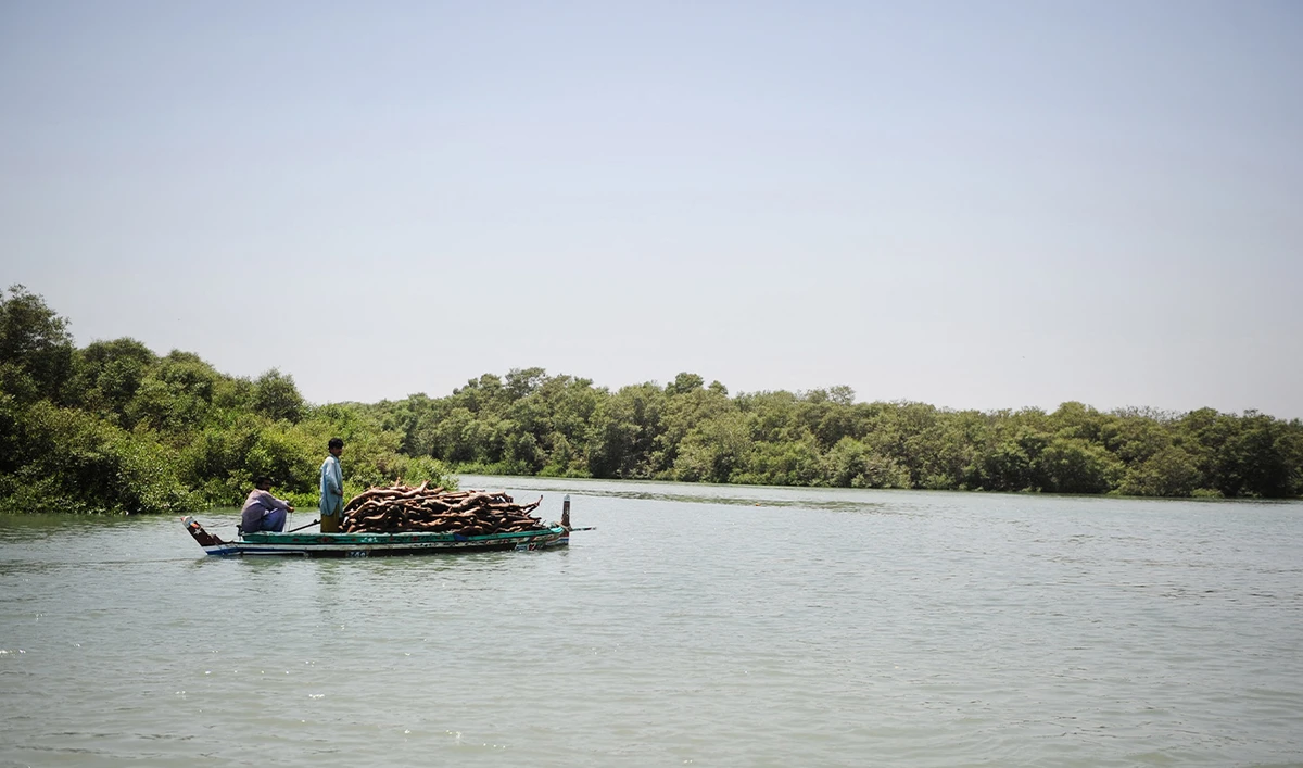 This photograph taken on April 29, 2014, shows Pakistani boatmen travelling on a boat loaded with chopped mangroves along a tributary close to the Arabian Sea in Karachi. (AFP/ file)