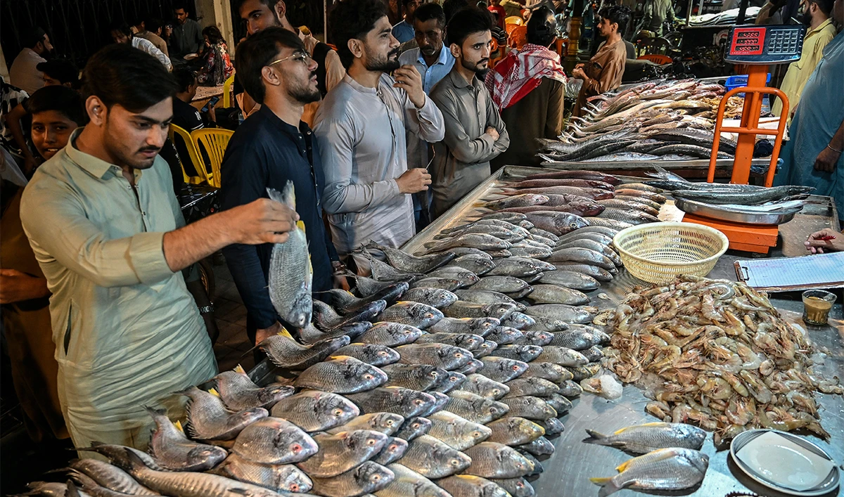 Arabian Sea Fishing Surges As Karachi Cold Snap Lifts Seafood Demand arabian-sea-fishing-surges-as-karachi-cold-snap-lifts-seafood-demand