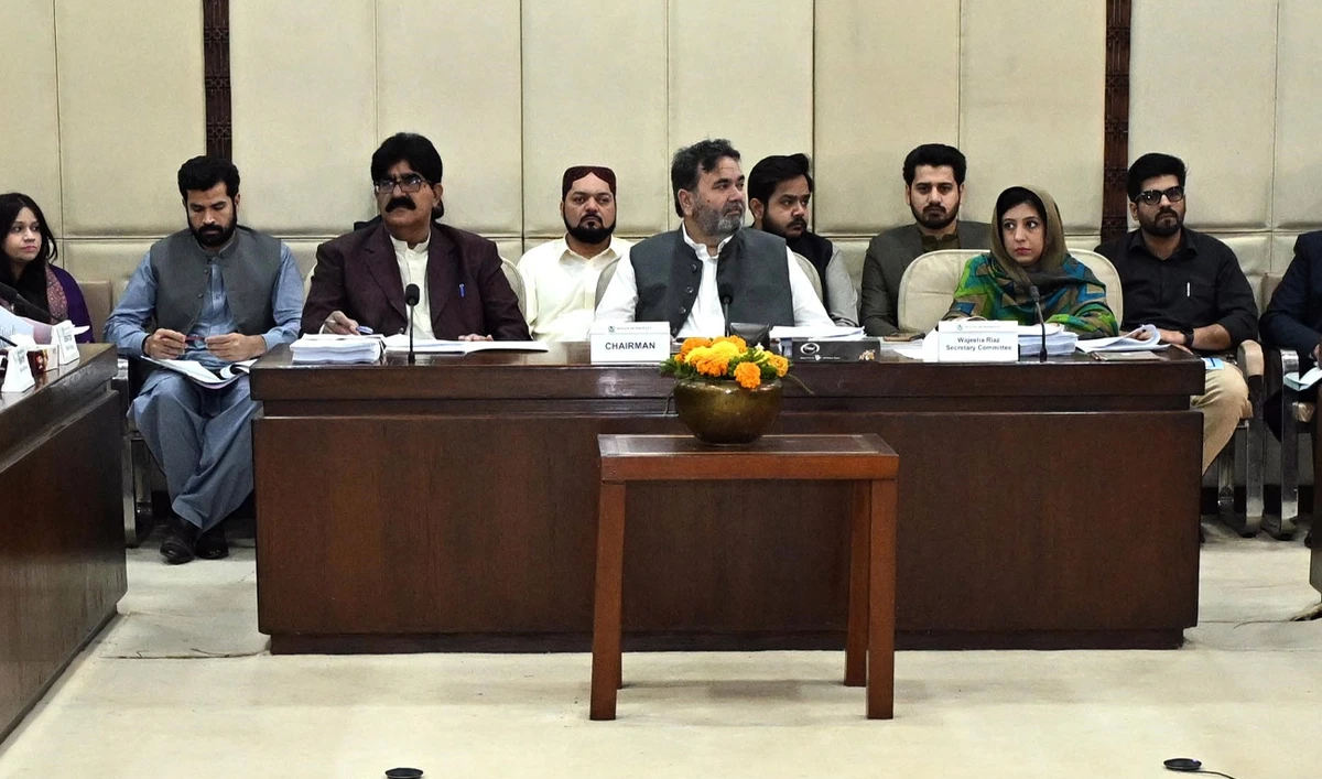 Chairman Senate Standing Committee on Cabinet Secretariat, Rana Mahmood Ul Hassan (center), preside a meeting of the committee at Parliament House in Islamabad, Pakistan, on February 25, 2026. (Senate of Pakistan)