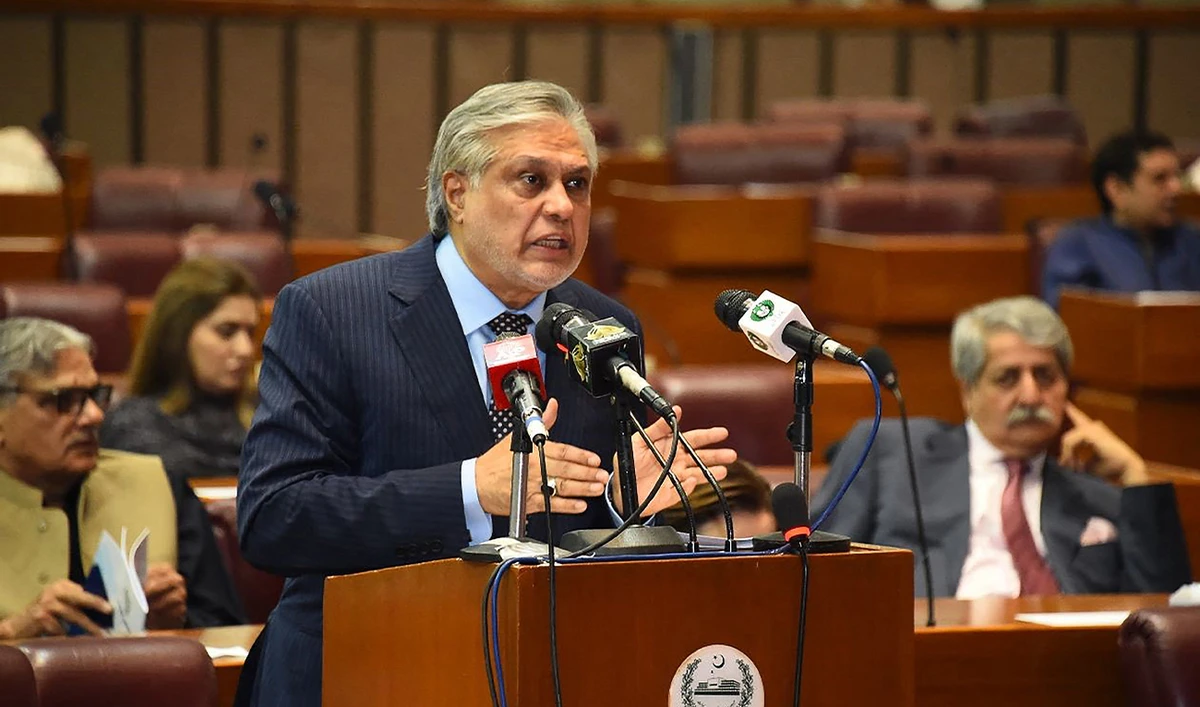 This handout photograph, taken and released on June 9, 2023, by the Pakistan National Assembly, shows Pakistan's Finance Minister Ishaq Dar addressing the National Assembly in Islamabad. (AFP/File)