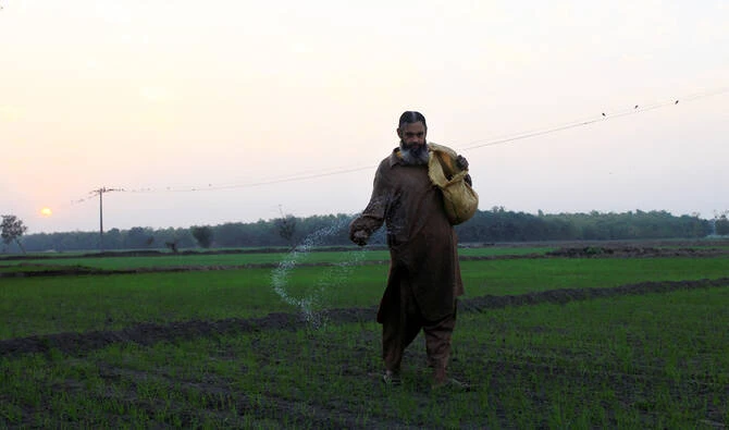 A farmer spreads fertilizer on a field outside Faisalabad, Pakistan December 16, 2016. (Reuters/File)