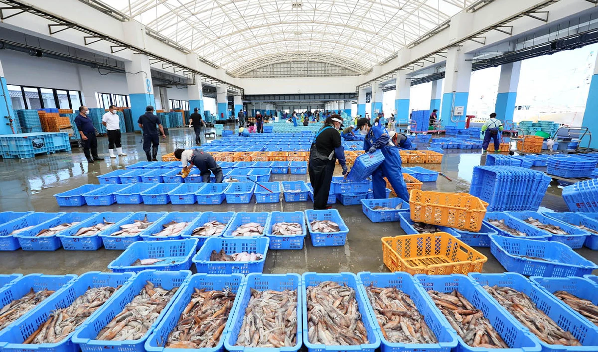 Fishery workers sort out seafood caught in offshore trawl fishing at Matsukawaura port in Soma City, Fukushima prefecture on September 1, 2023. (AFP/ file)