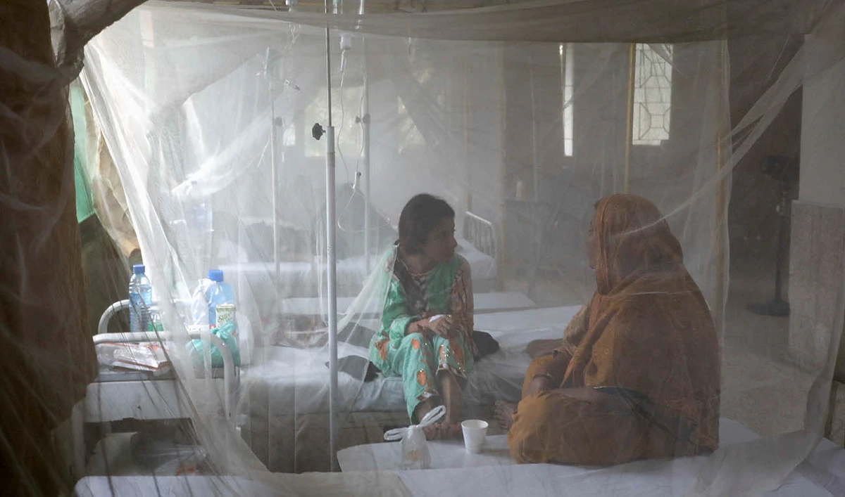 A patient suffering from dengue fever chats with a woman while sitting under a mosquito net inside a dengue and malaria ward at the Sindh Government Services Hospital in Karachi, Pakistan September 21, 2022. (REUTERS)