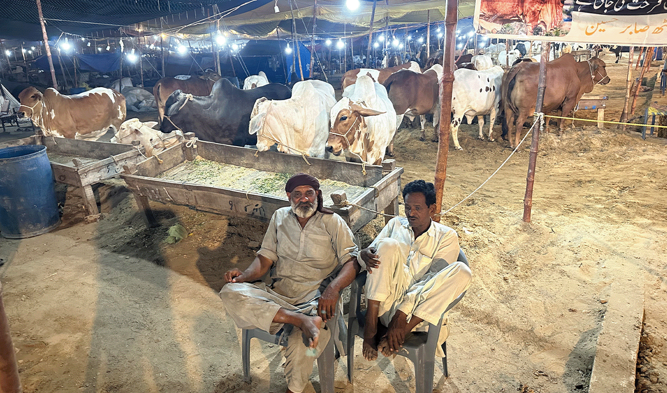 Two men sitting near cattle in a cattle market in Karachi, Pakistan, on May 13, 2026. (AN Photo)