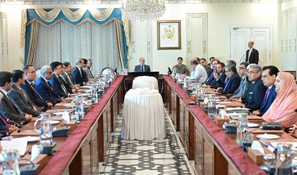 Prime Minister Shehbaz Sharif meets with a delegation of the Federal Board of Revenue in Islamabad, Pakistan, on July 2, 2026. (PID)