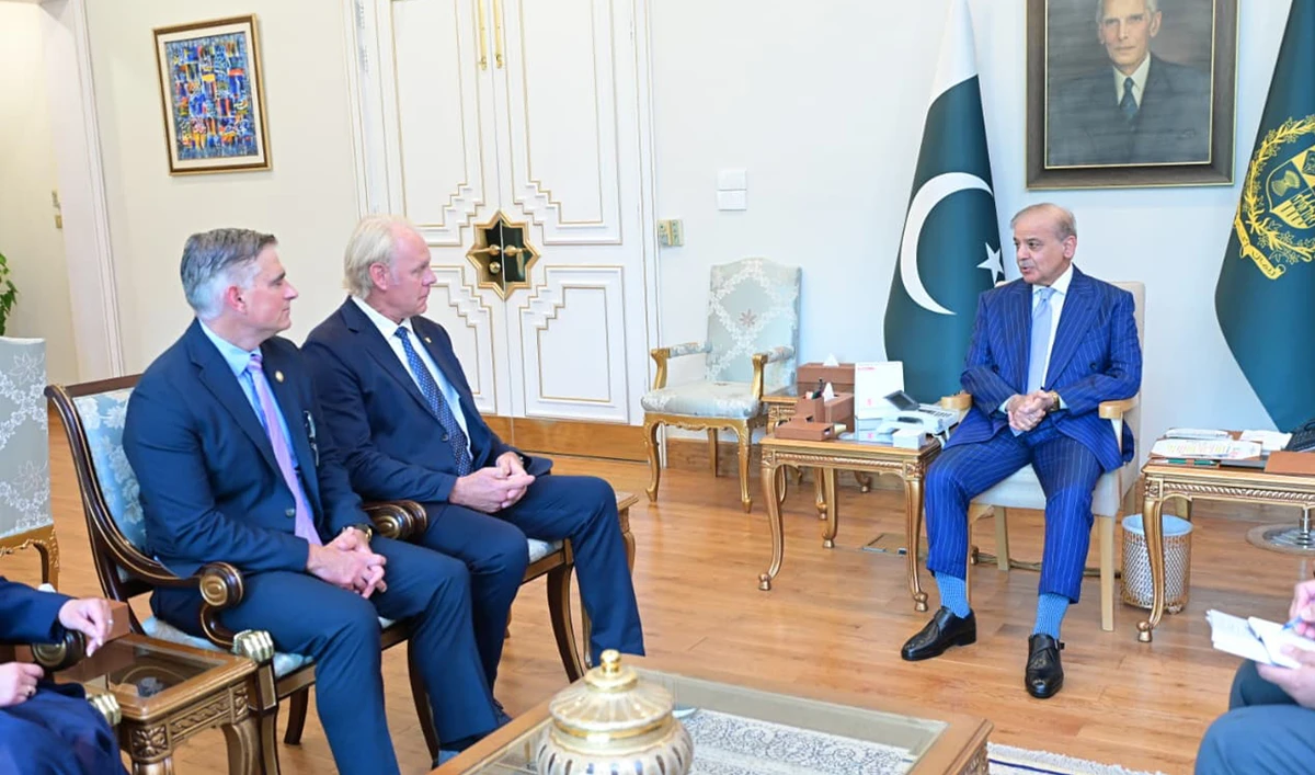 A delegation of the businessmen from the US meet with Prime Minister Shehbaz Sharif on July 28, 2026. (PMO)