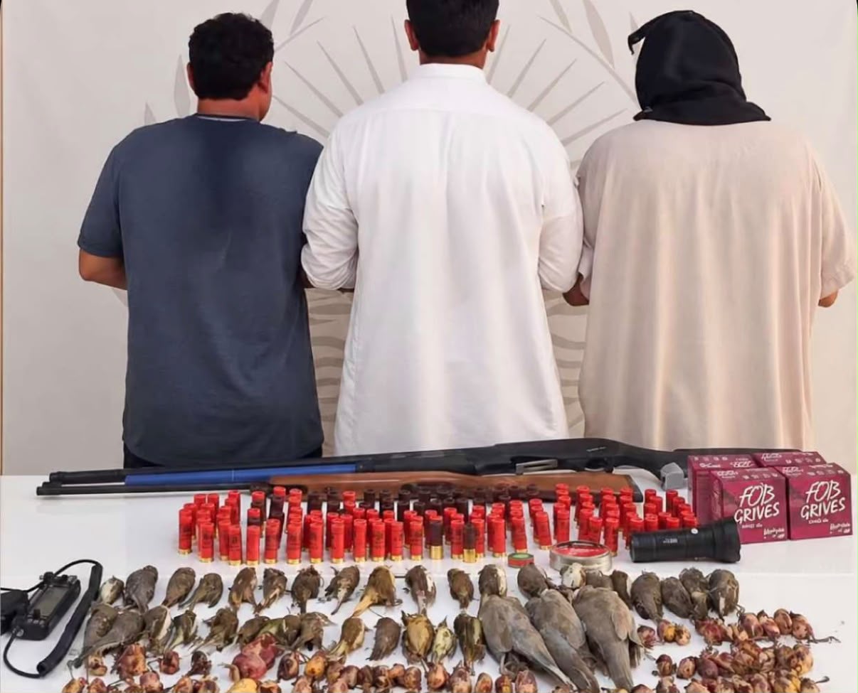 ضبط 3 مخالفين لصيد 117 كائن فطري دون ترخيص
