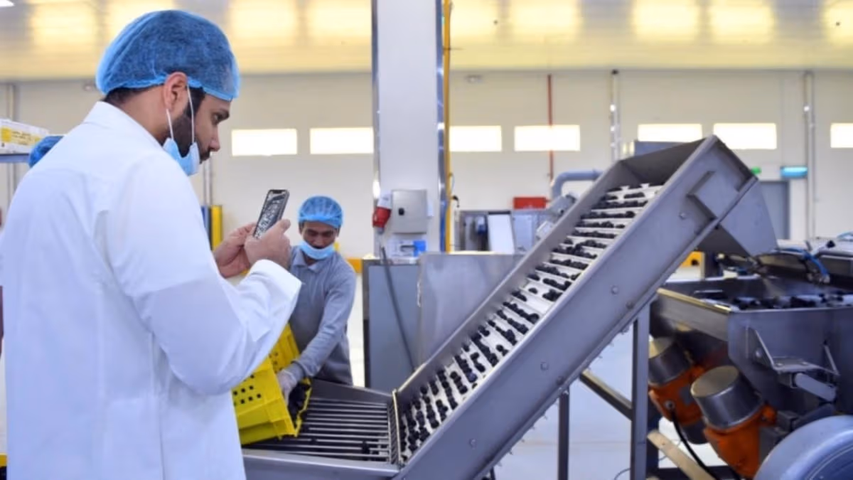 أسعار المنتجين ترتفع 5.1% خلال أغسطس