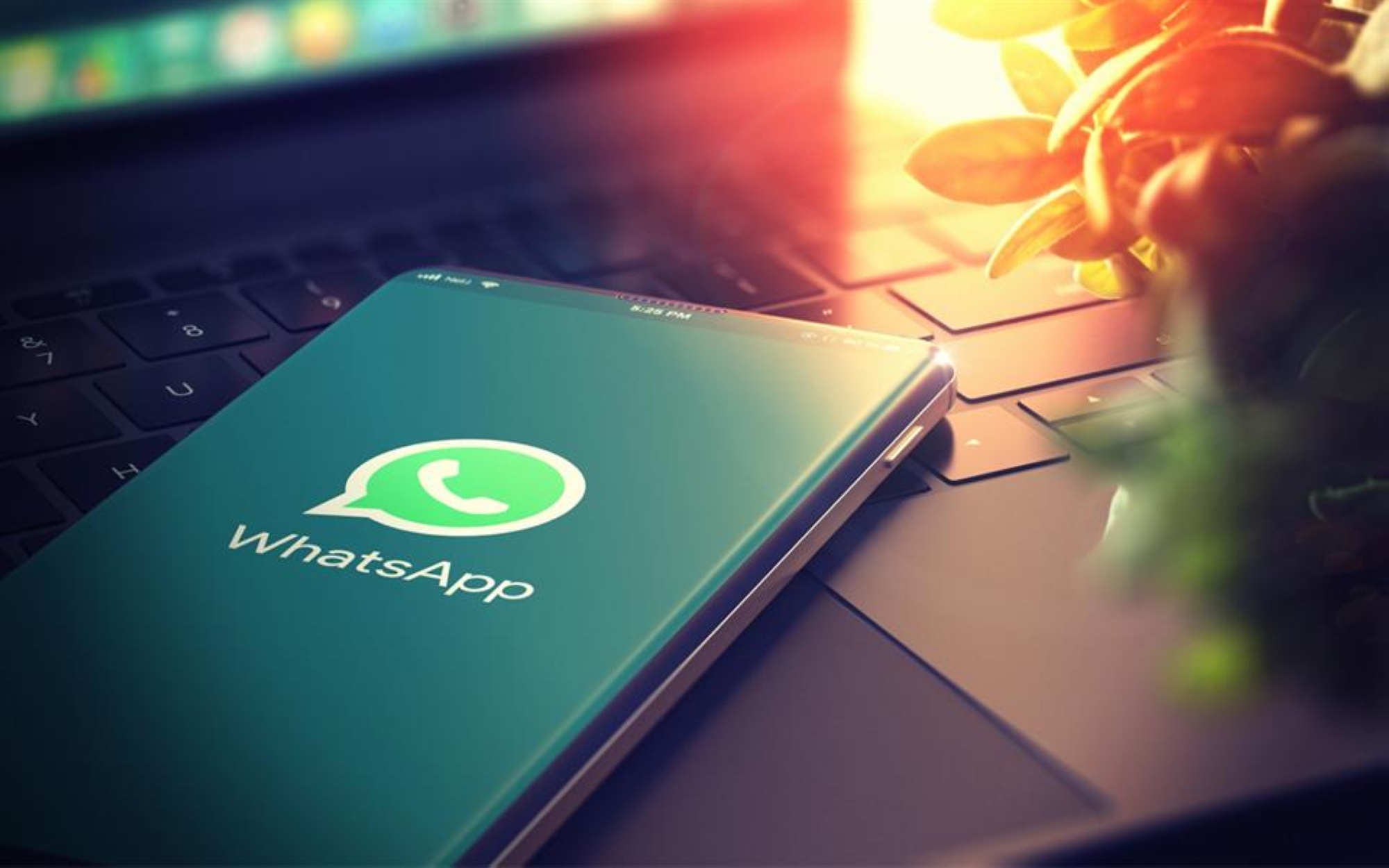 تحديث جديد.. "واتساب" يتيح تسجيل الدخول لنفس الحساب على 4 هواتف